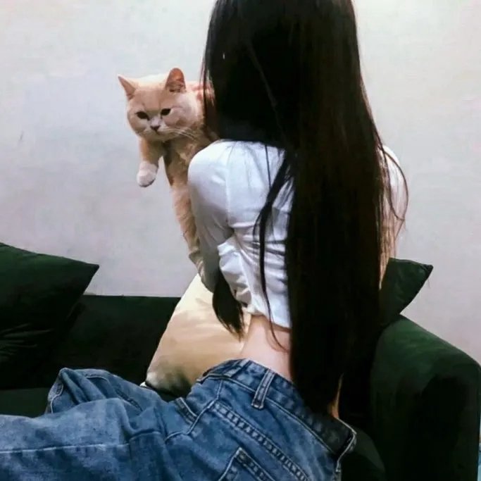断案吧！寇准 在线观看封面